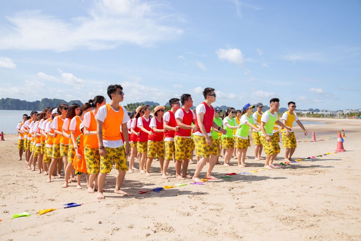 Tổ chức team building