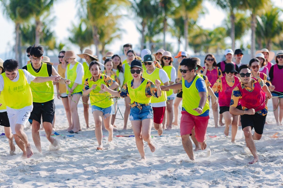 Tổ chức team building